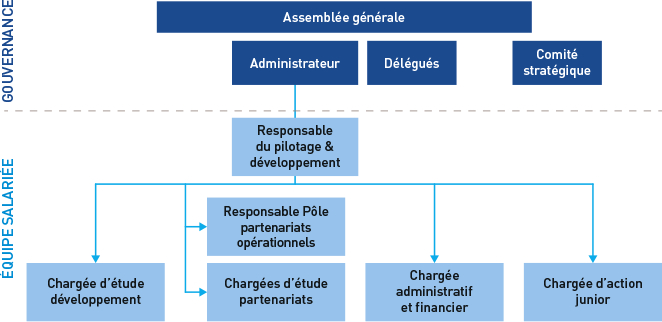 Gouvernance Organisation